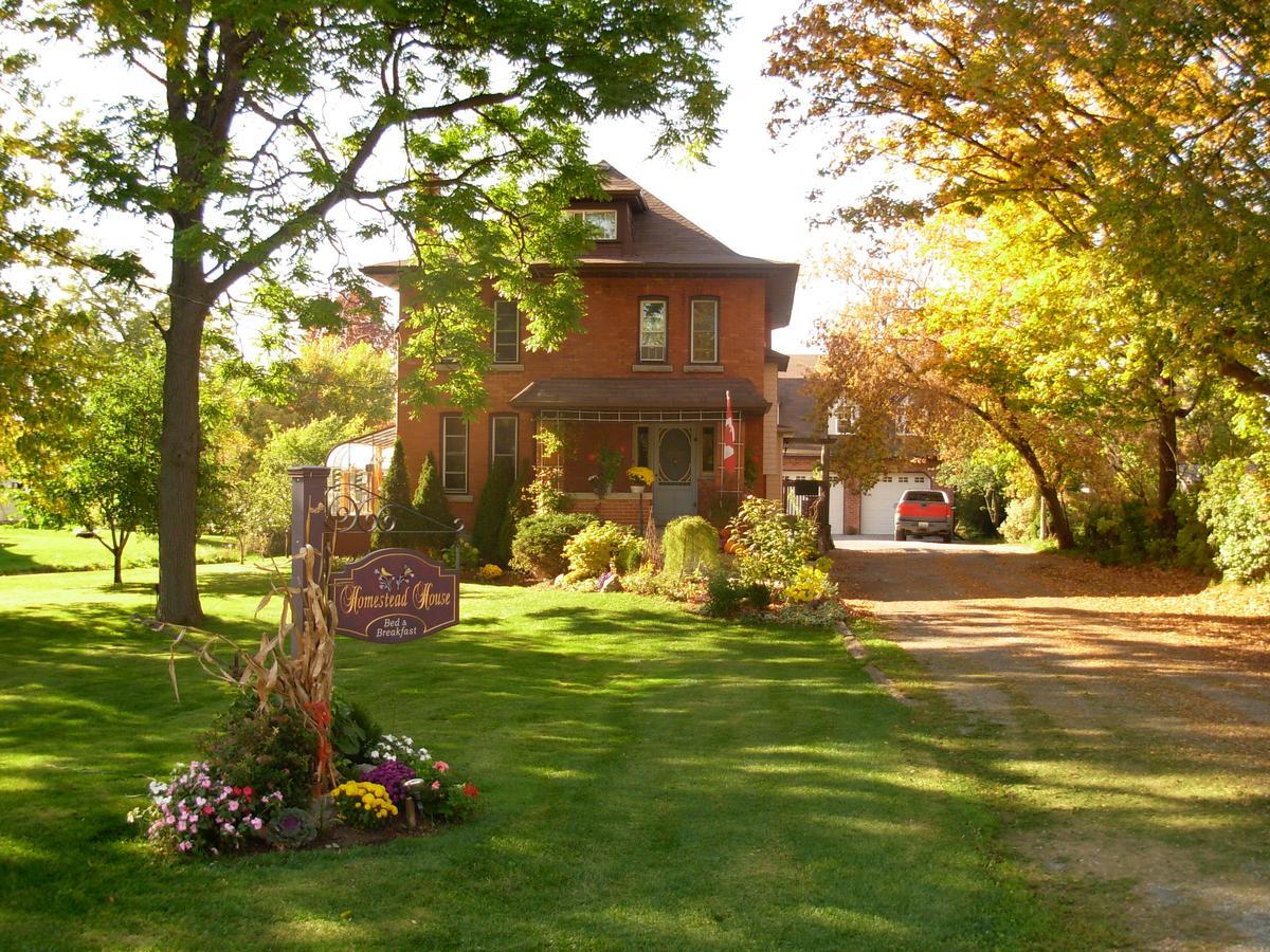 Homestead House B&B Hamilton Zewnętrze zdjęcie